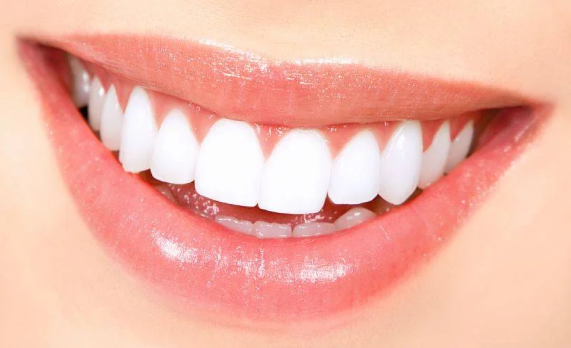 Diş etlerine hangi yiyecekler iyi gelir? Diş ve diş eti sağlığı için neler yapmalıyız?