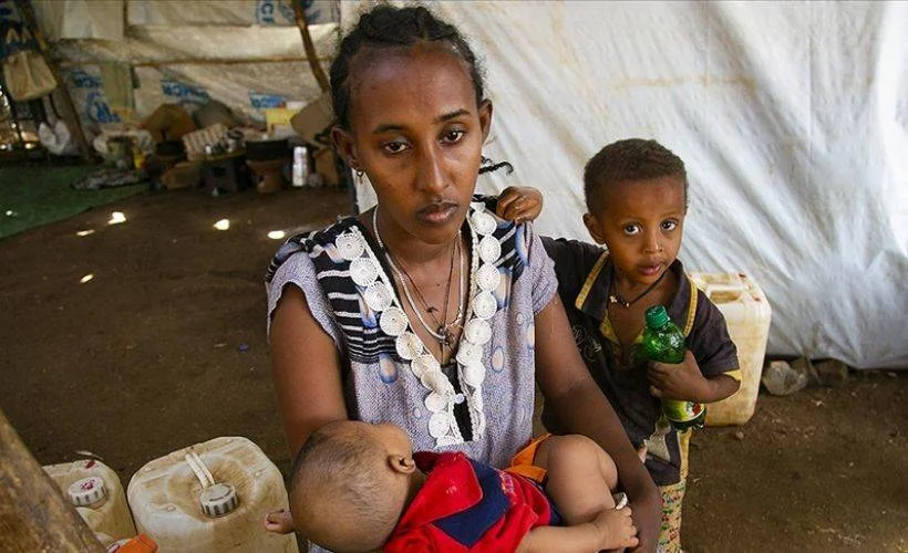 Etiyopya'daki çatışmalardan Sudan'a kaçan sığınmacılar barınma, gıda ve ilaç sıkıntısı çekiyor