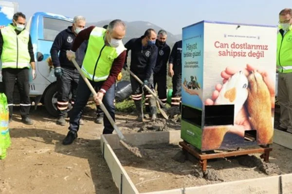 Gönüllüler sokak hayvanları için sahaya indi