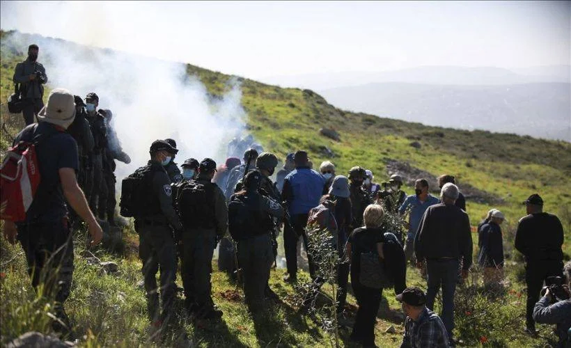 İsrail askerlerinden ağaç diken Filistinlilere müdahale