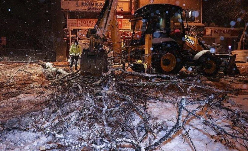İstanbul'da kar yağışı nedeniyle bazı bölgelerde ağaçlar devrildi