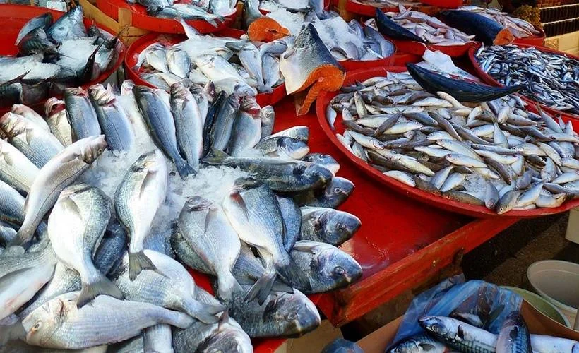 Kala'balığa' girmeyin! dedikçe...