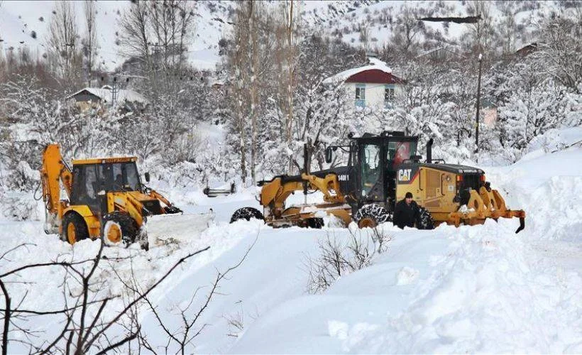 Kar kaplanlarının zorlu mücadelesi sürüyor