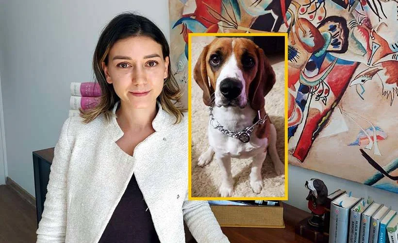Murphy' i otomobiliyle çarparak, öldüren doktor tazminat ödeyecek