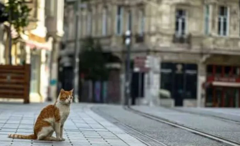 Ordu'da çiftçilerin sokağa çıkması yasak mı? Hayvancılık ve çiftçilik yapanlar Sokağa çıkamayacak mı?