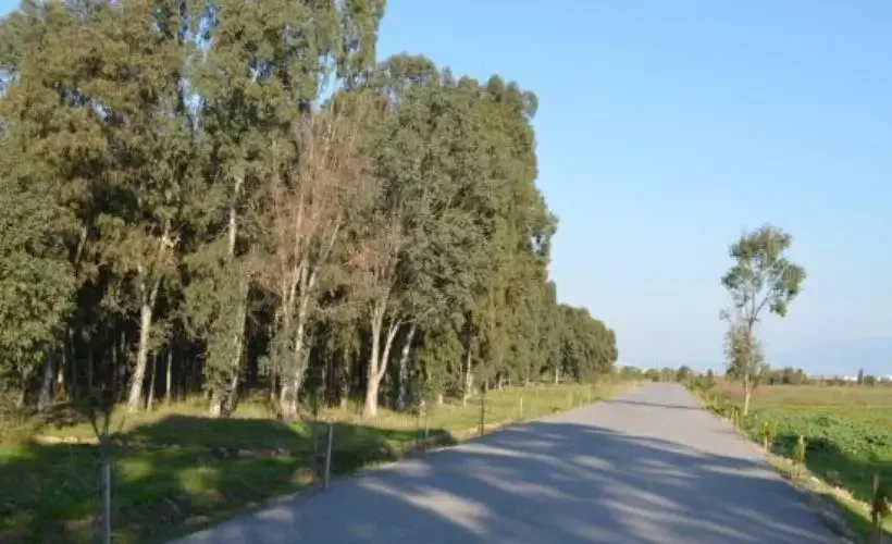 Türkiye'nin en güzel 6 piknik yeri