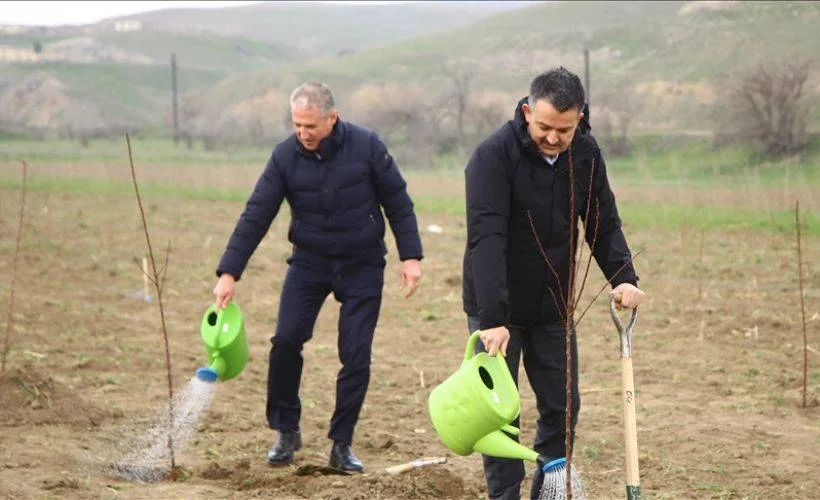 Bakan Pakdemirli, Ermenistan işgalinden kurtarılan topraklarda fidan dikti