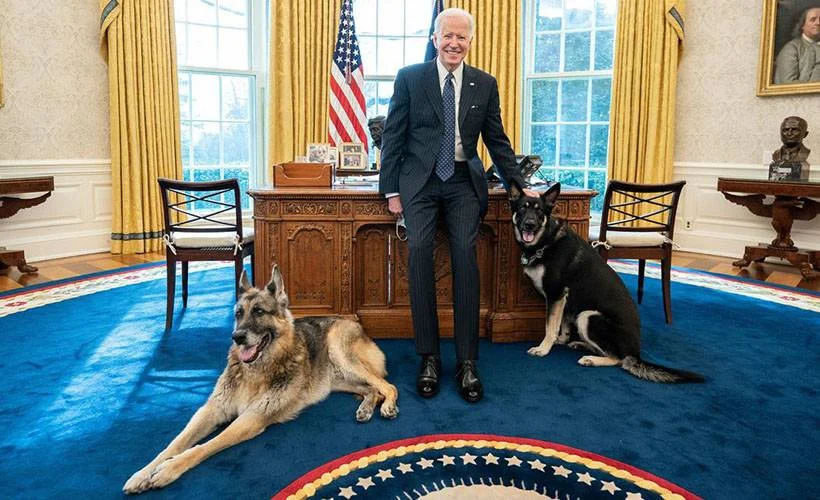 Biden'ın köpekleri Beyaz Saray'dan gönderildi