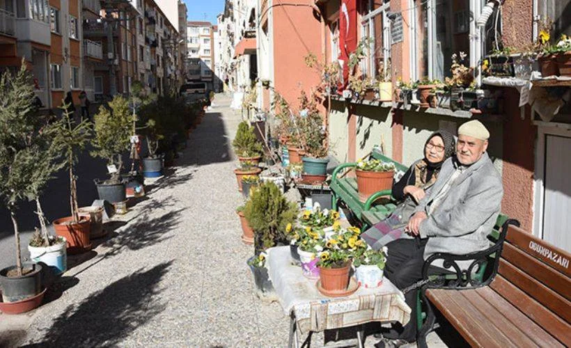 Felç geçiren eşi için sokağı çiçek bahçesine çevirdi