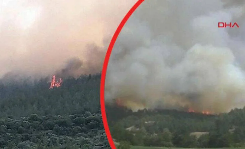 Kütahya'da orman yangını