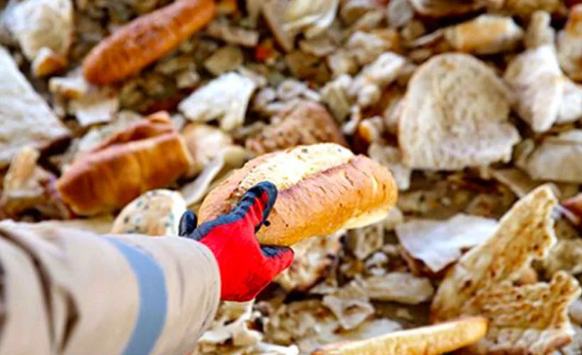 'Türkiye'de her yıl 7,7 milyon ton yiyecek çöpe atılıyor'