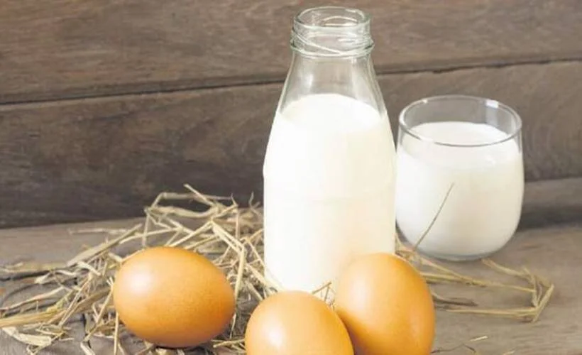 Yumurta sayısı azaldı inek sütü arttı