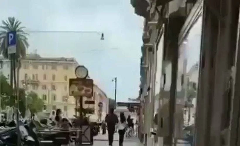 Canlı fare yiyen martı görenleri şaşırttı
