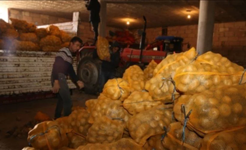 Depoda kalan patates TMO tarafından satın alındı