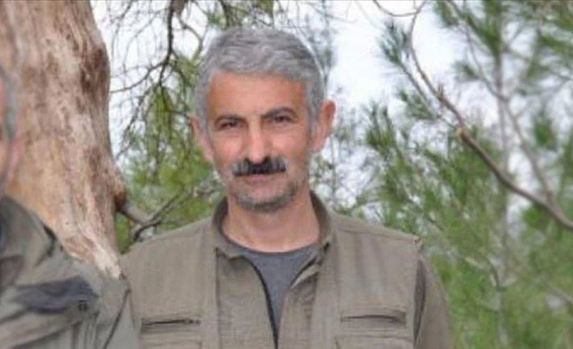 Kırmızı bültenle aranan PKK/KCK'lı Dalokay Şanlı etkisiz hale getirildi