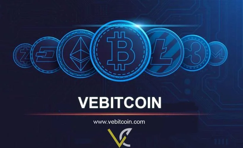 Kripto parada Thodex'in ardından Vebitcoin krizi!