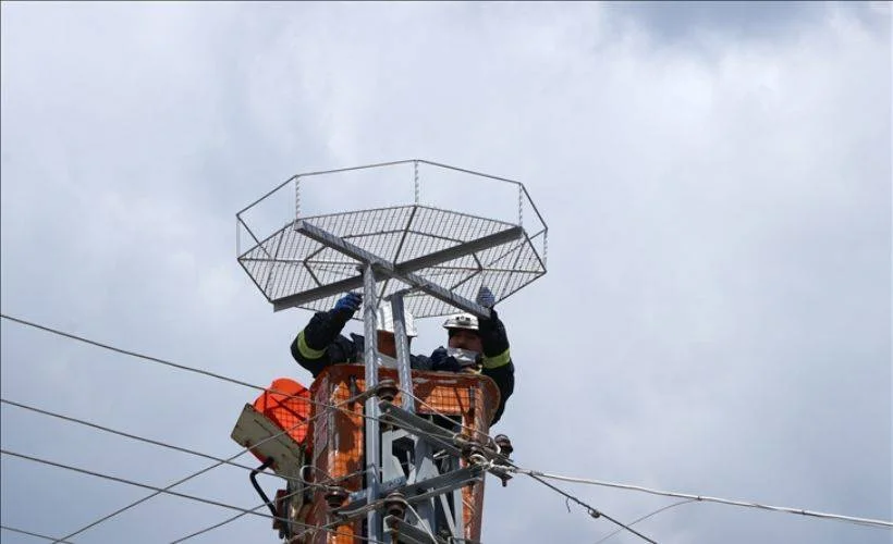 Leyleklerin akıma kapılmaması için elektrik direklerine özel platform