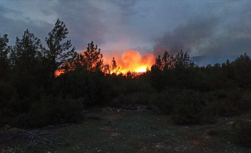 Muğla'da çıkan orman yangınlarına müdahale ediliyor