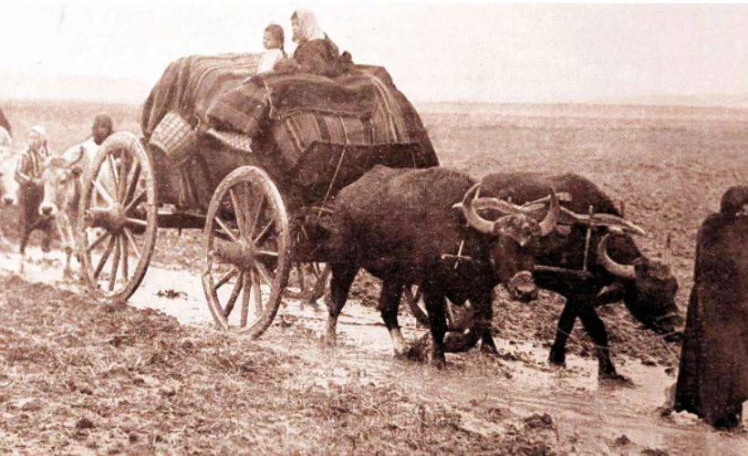 Nadire Nine ve kızı Nigar'ın hazin hikâyesi