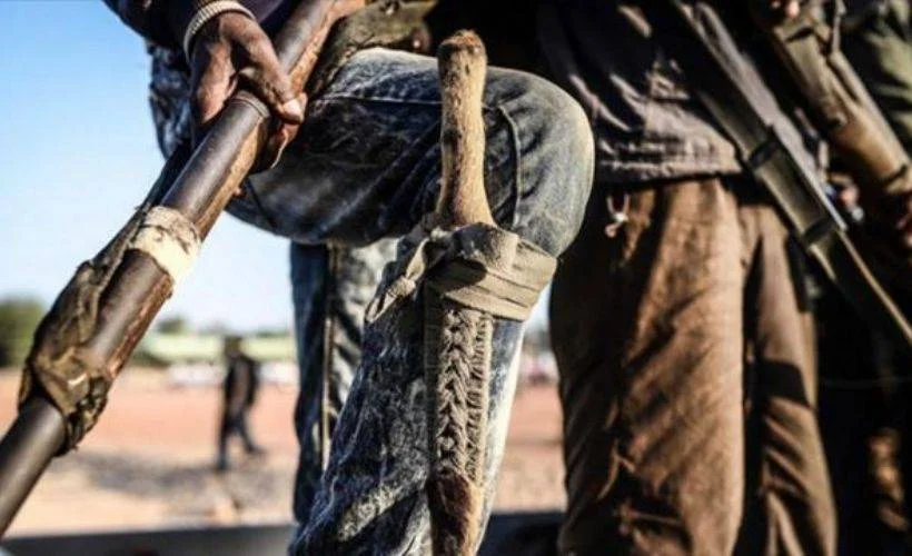 Nijerya'da terör operasyonu: Boko Haram'ın 14 üyesi öldürüldü