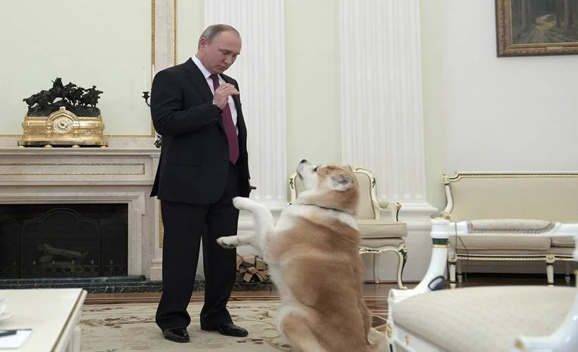 Putin köpeklerine danışıyormuş!