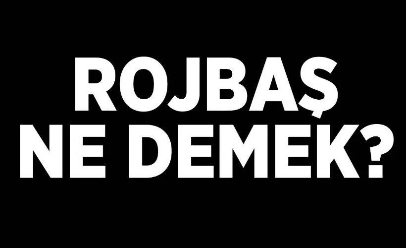 Rojbaş anlamı nedir? Rojbaş nedir, ne demek? Roj baş hangi dilde?