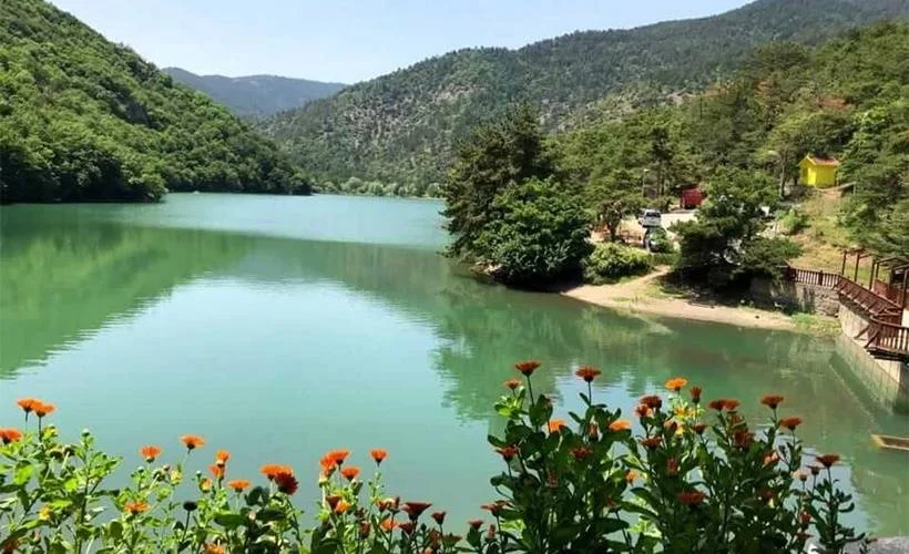 Salgın mavi ve yeşile ilgimizi engelleyemedi