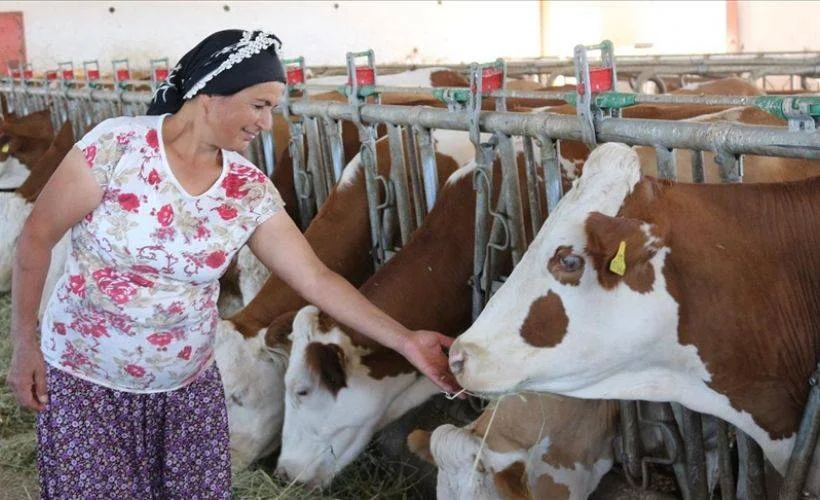 Vefat eden eşinin aldığı hibeyle kurulan tesisi iki misli büyüttü