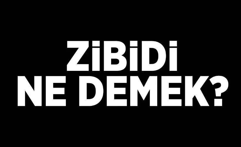 Zibidi ne demek? Zibidi demek hakaret mi? Zibidi TDK anlamı nedir?