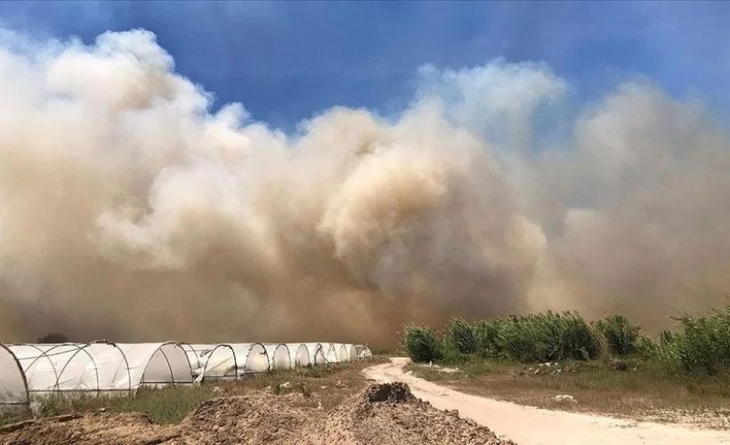 Antalya'da sazlık alanda yangın