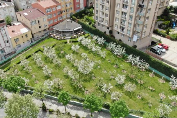 Bağcılar'da nostalji bahçeleri beyaza büründü