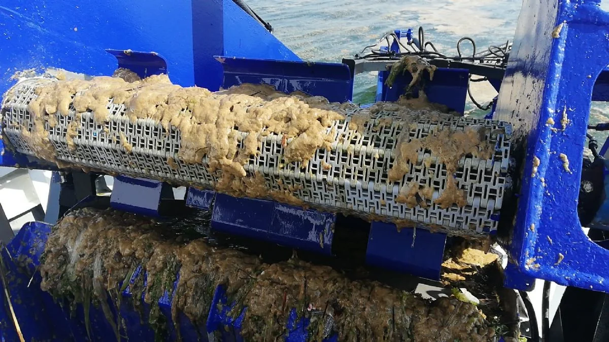 İBB'den deniz salyasına karşı mudanya görevi