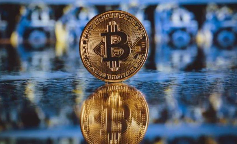 Muğla'da Vebitcoin soruşturması: 5 gözaltı