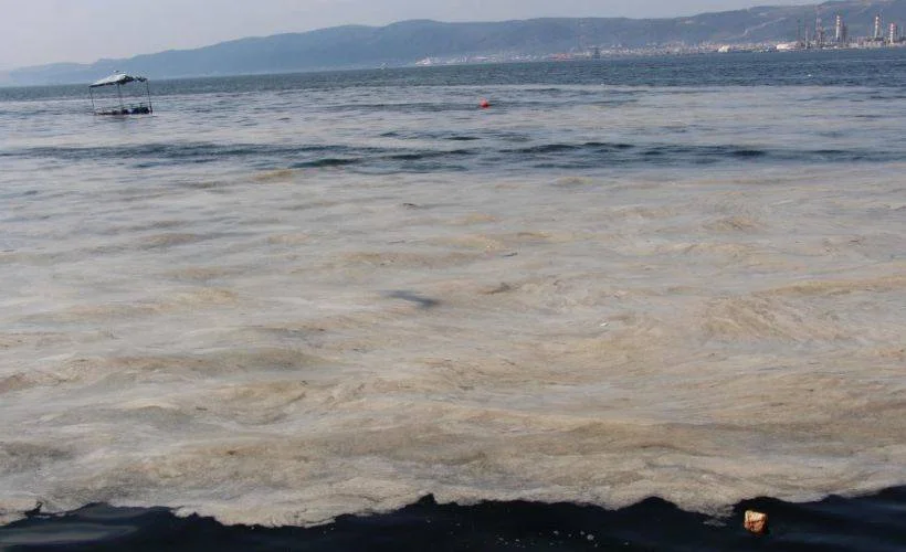 Müsilaj nedir? Müsilaj neden olur? (Deniz salyası nedir?)