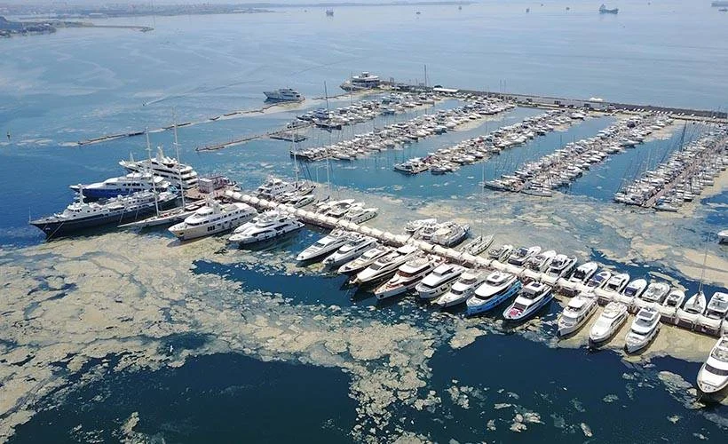 Pendik Marina'yı deniz salyaları kapladı