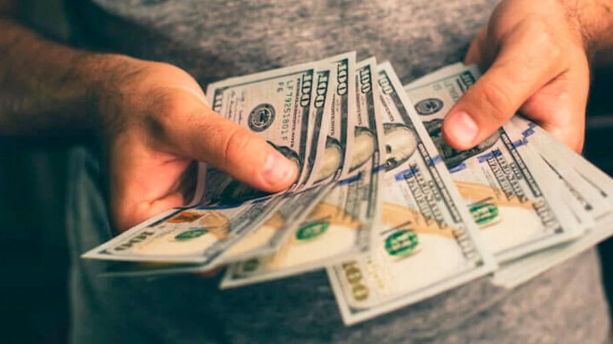 Piyasadaki dolarların dörtte biri son bir yılda basılmış!