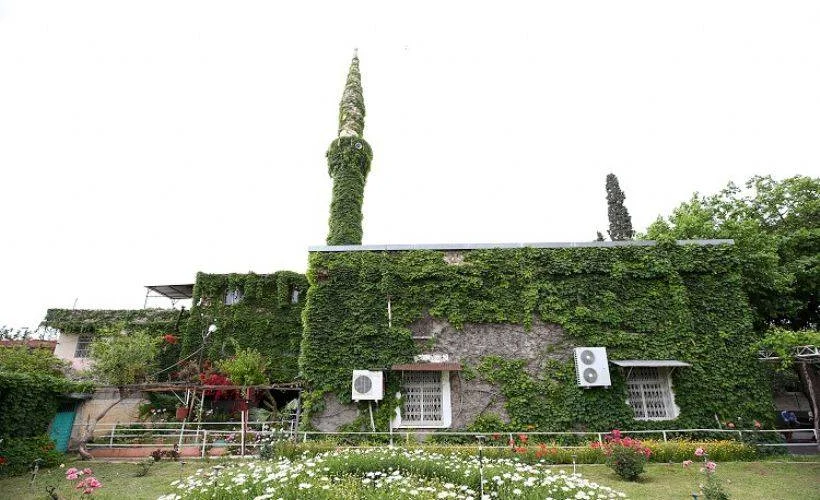 'Yeşil cami'nin botanik bahçesi atmosferi