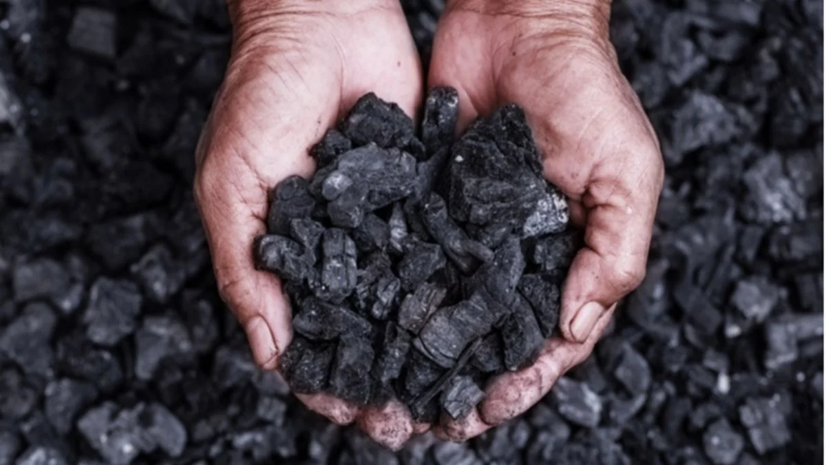 165 yıllık enerjinin 'kara' tarihi