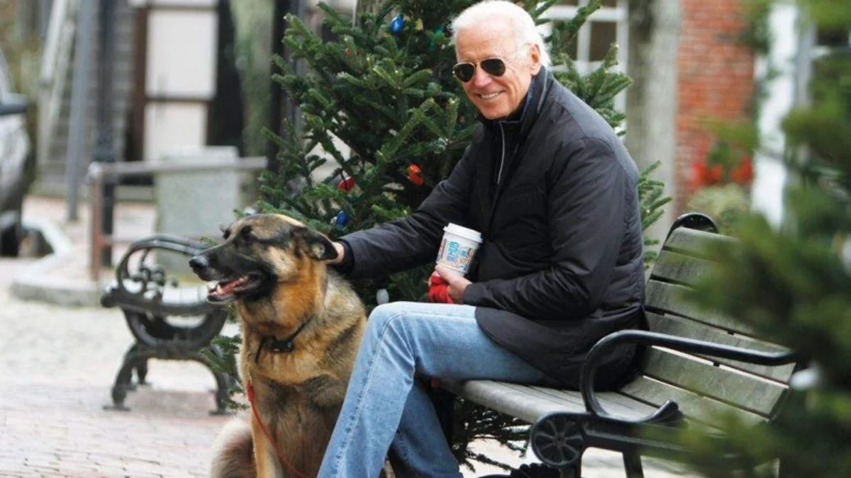 ABD Başkanı Biden'ın köpeği 'Champ' öldü