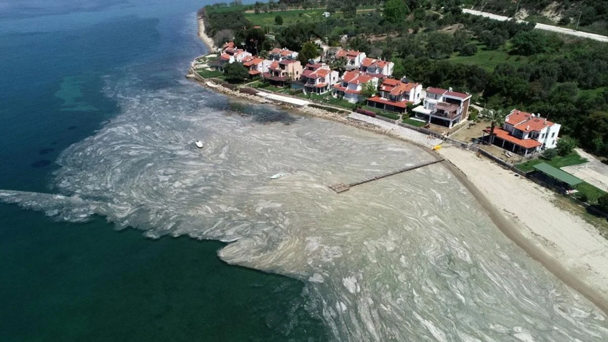 Deniz salyası hangi denizlerde var? Müsilaj (deniz salyası) nerelerde var?