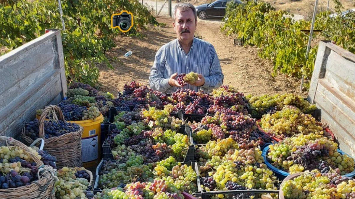 Destici, baba ocağında tarımı değerlendirdi