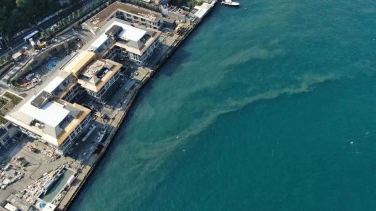 Doç. Dr. Balcı: Marmara denizi foseptik çukuru haline geldi