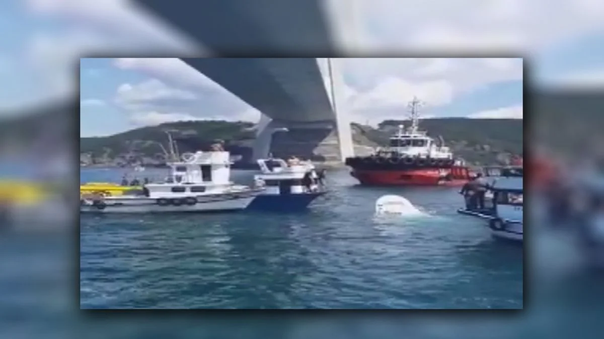 İstanbul Boğazı'nda gemi ile tekne çarpıştı: Ölü ve yaralılar var