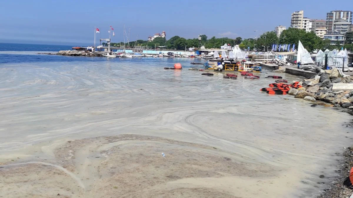 İstanbul'da müsilaj temizliği sürüyor