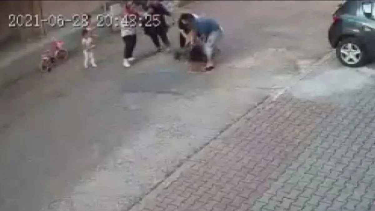 İstanbul'da pitbull çocuğa saldırdı, o anlar güvenlik kamerasında