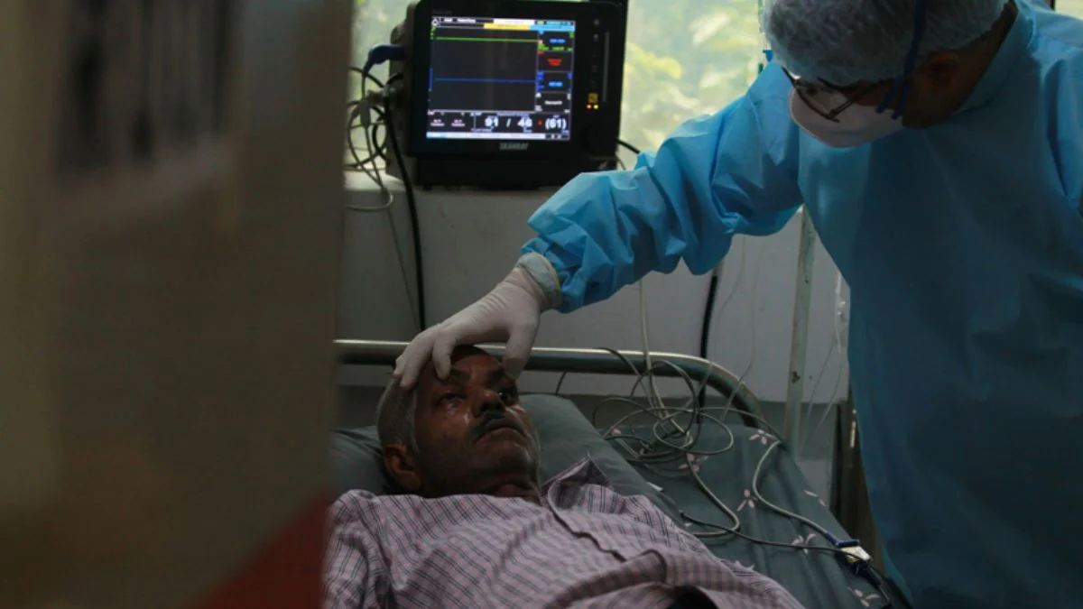 Kara mantar hızla yayılıyor! Bir ülkeye daha sıçradı