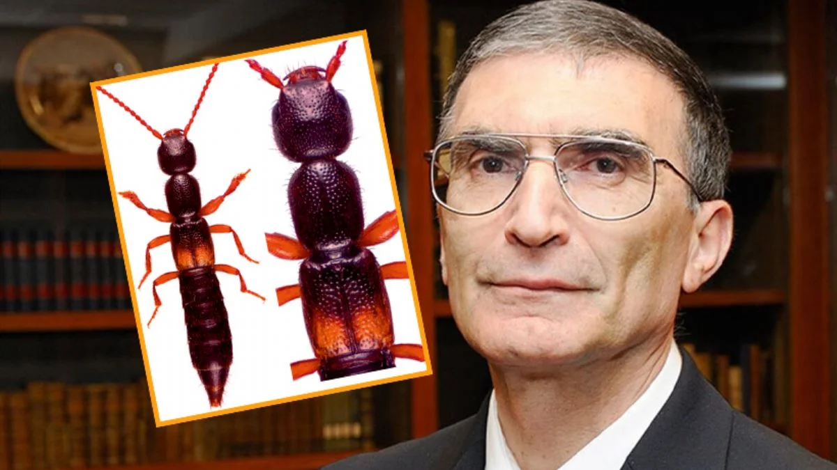 Keşfedilen yararlı böcek türü Aziz Sancar'ın ismiyle anılacak
