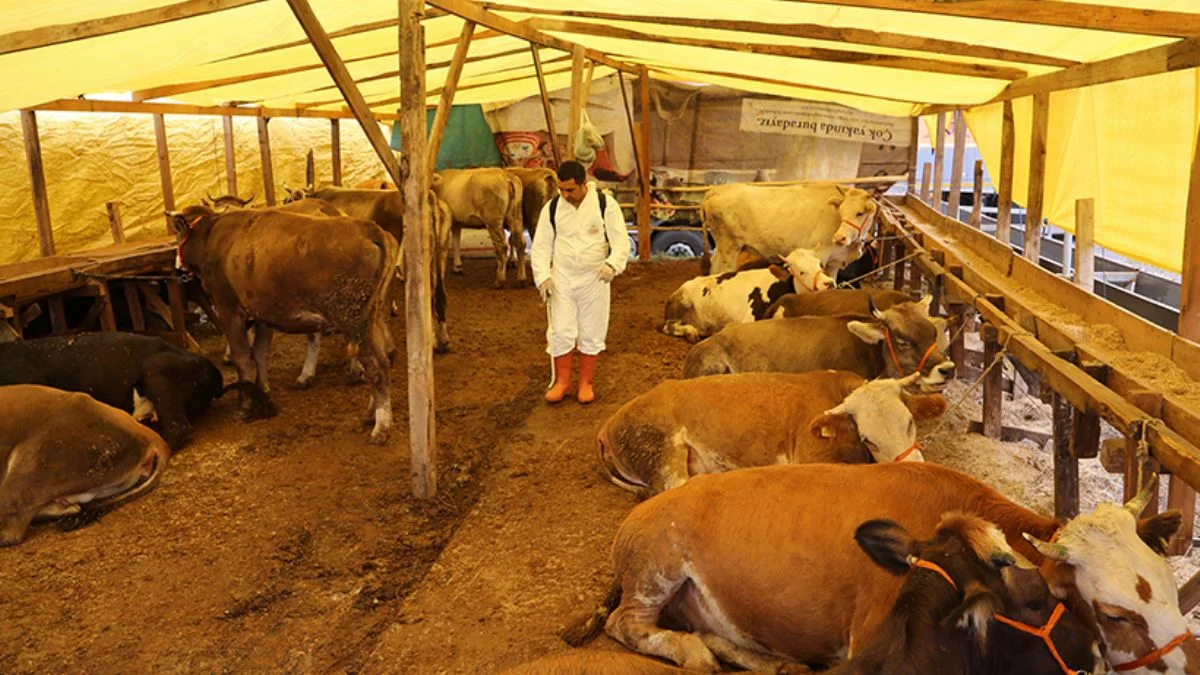 Kurban satış ve kesimine ilişkin kurallar belirlendi