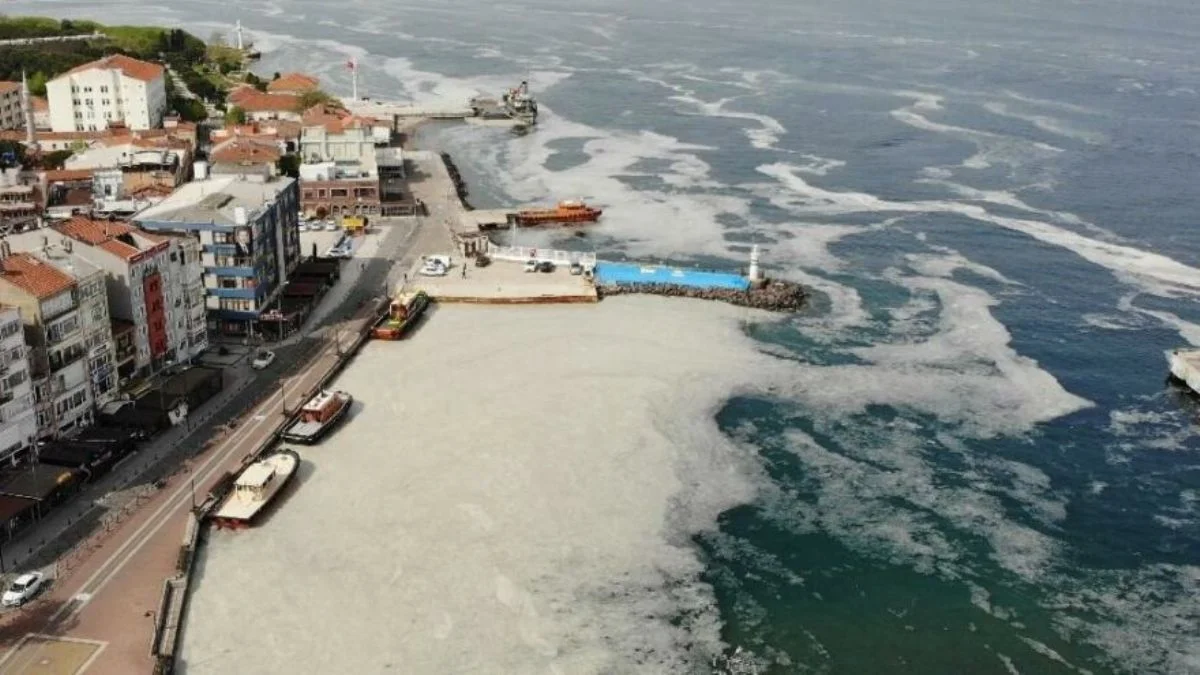 Marmara'da denize girmek tehlikeli mi? Müsilajlı (deniz salyası) olan denize girilir mi?
