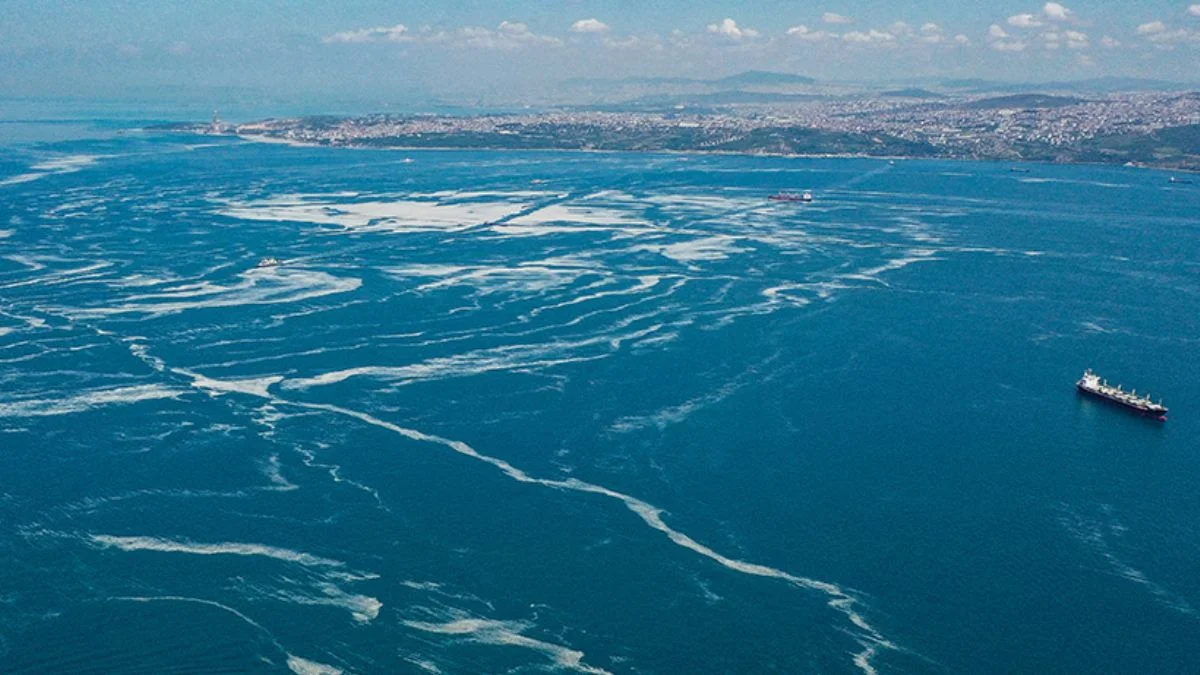 Marmara'dan iki günde 392 metreküp müsilaj toplandı